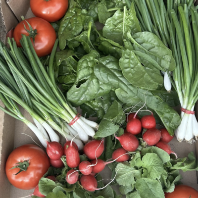 Screen Shot 2025 08 29 at 1.27.45 PM