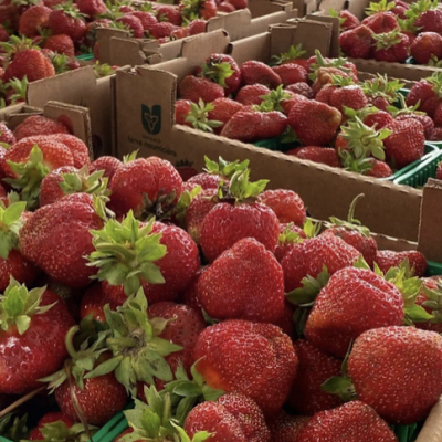 Screen Shot 2025 08 29 at 1.28.01 PM