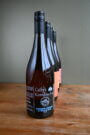 Raw Kombucha