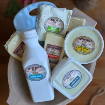 Sheep Dairy Products2