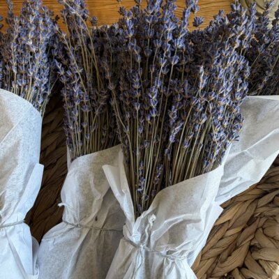 Lavender Bundles