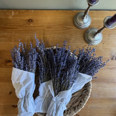 Lavender Bundles