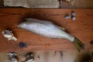 Whole wild-caught Great Lakes pickerel, gutted and headless, on a wooden board at Natura Corner